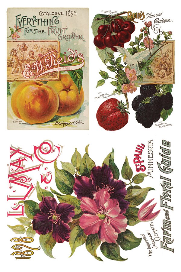 Seed Catalogue IOD Transfer Pad with (8) 8 x 12 Sheets by Iron Orchid Designs Rub-On Furniture Transfer Decal