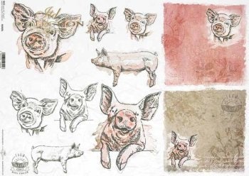 Pigs ITD Decoupage Rice Paper | Size A3 | 16.5inch x 11.7inch | R0400L
