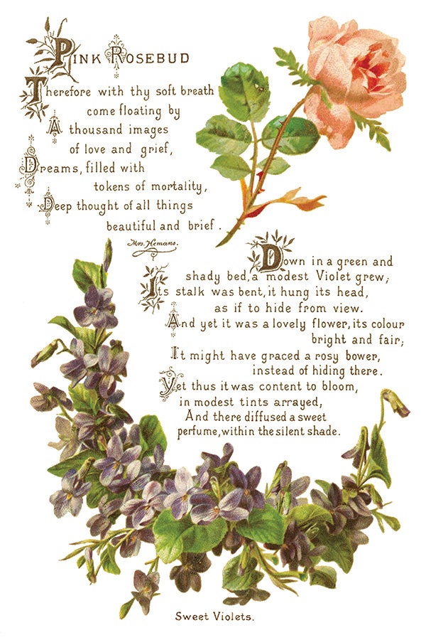 Lover of Flowers IOD Transfer Pad with (8) 8 x 12 Sheets by Iron Orchid Designs Rub-On Furniture Transfer Decal