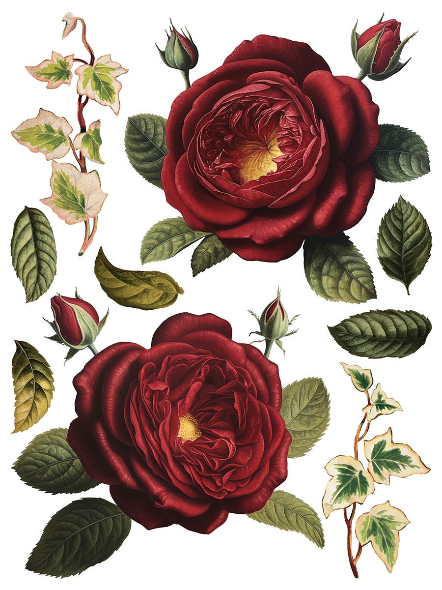Collage De Fleurs IOD Transfer Pad with (8) 12 X 16 Sheets by Iron Orchid Designs Rub-On Furniture Transfer Decal