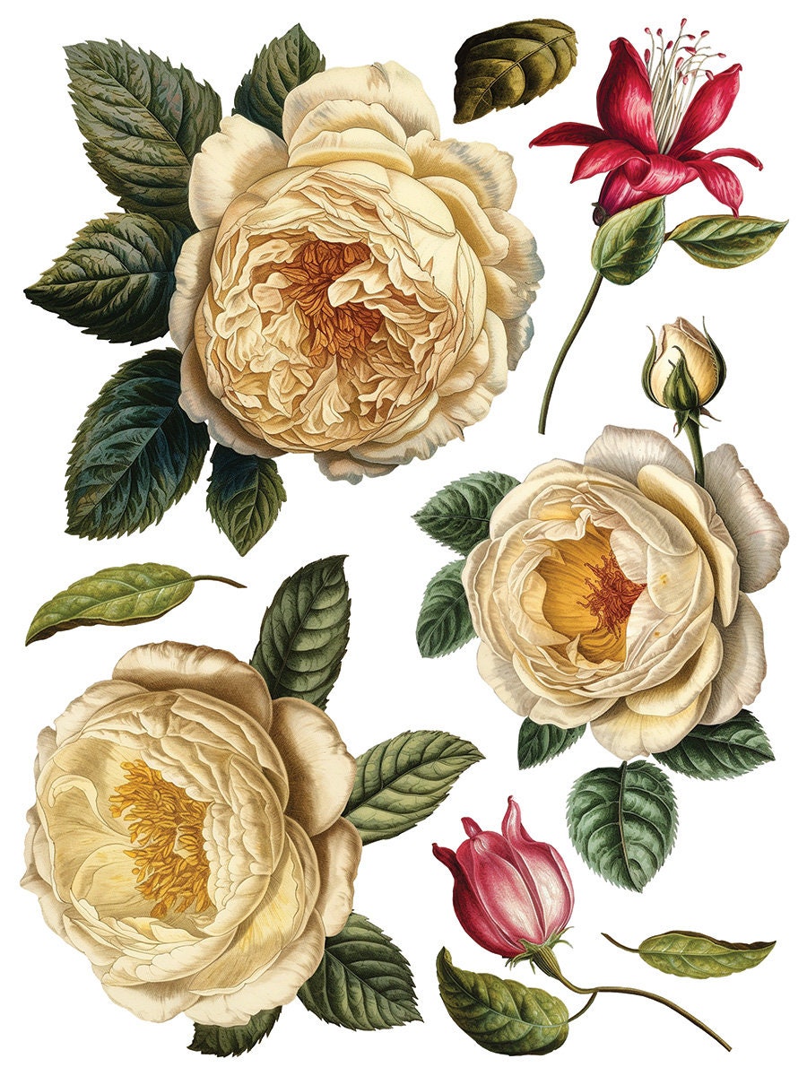 Collage De Fleurs IOD Transfer Pad with (8) 12 X 16 Sheets by Iron Orchid Designs Rub-On Furniture Transfer Decal