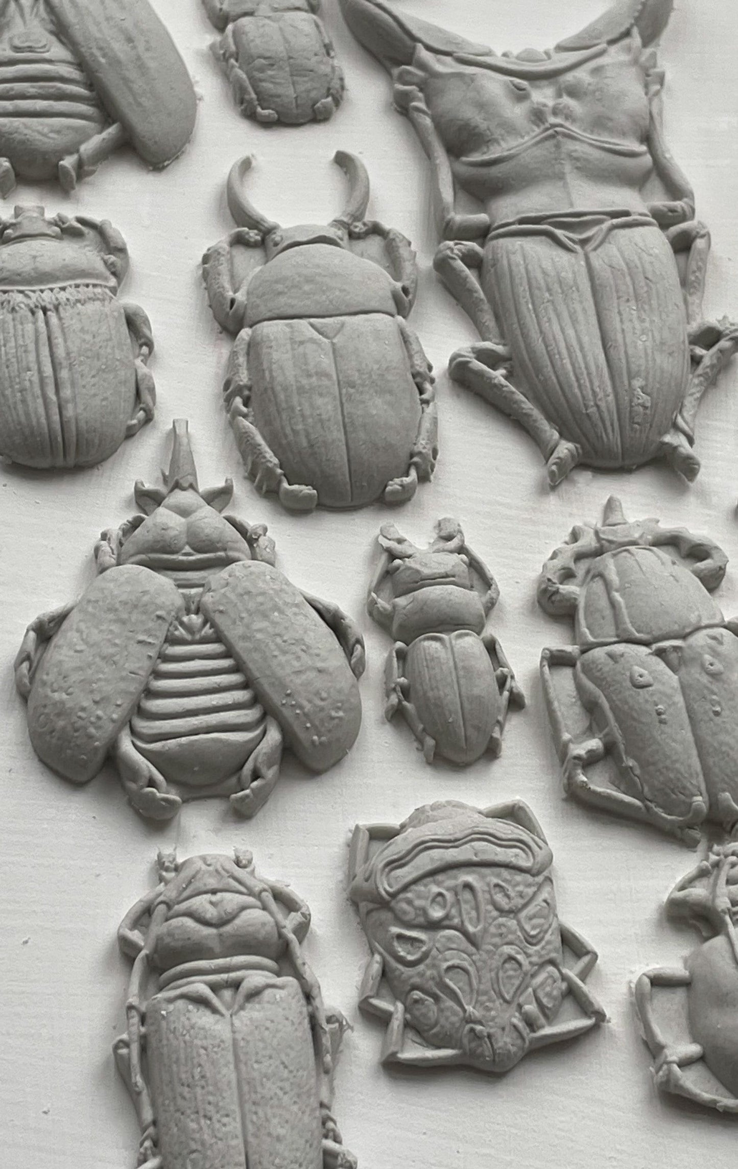 Specimens IOD décor mould 6 x 10 - by Iron Orchid Designs