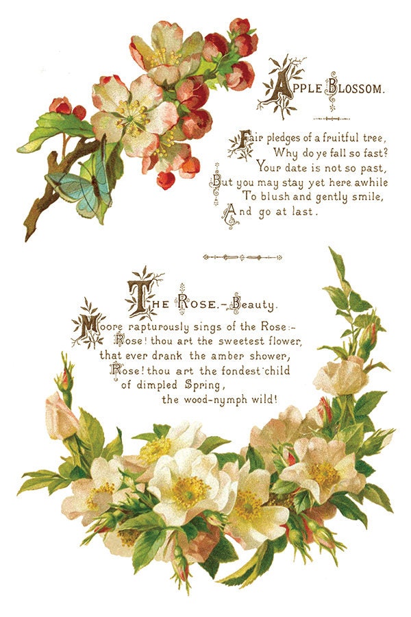 Lover of Flowers IOD Transfer Pad with (8) 8 x 12 Sheets by Iron Orchid Designs Rub-On Furniture Transfer Decal