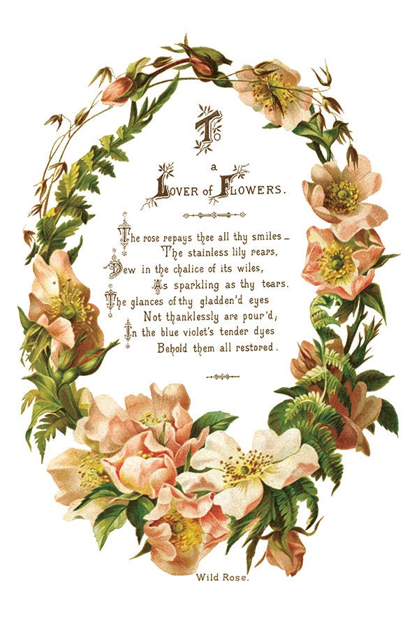 Lover of Flowers IOD Transfer Pad with (8) 8 x 12 Sheets by Iron Orchid Designs Rub-On Furniture Transfer Decal