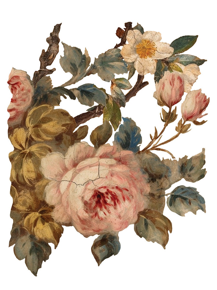 Joie Des Roses IOD Transfer Pad (8) 12 X 16 Sheets by Iron Orchid Designs Rub-On Furniture Transfer Decal