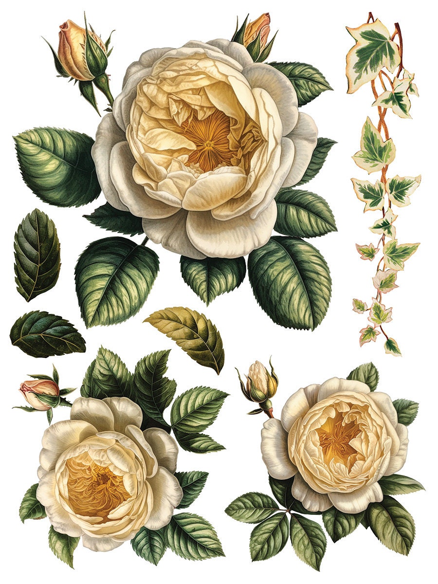 Collage De Fleurs IOD Transfer Pad with (8) 12 X 16 Sheets by Iron Orchid Designs Rub-On Furniture Transfer Decal