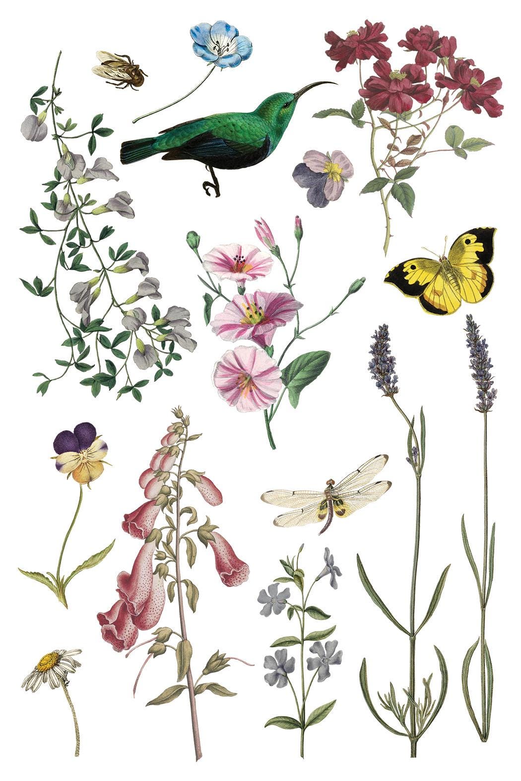 Wilde Bloemen IOD Transfer Pad with (8) 8 x 12 Sheets by Iron Orchid Designs Rub-On Furniture Transfer Decal