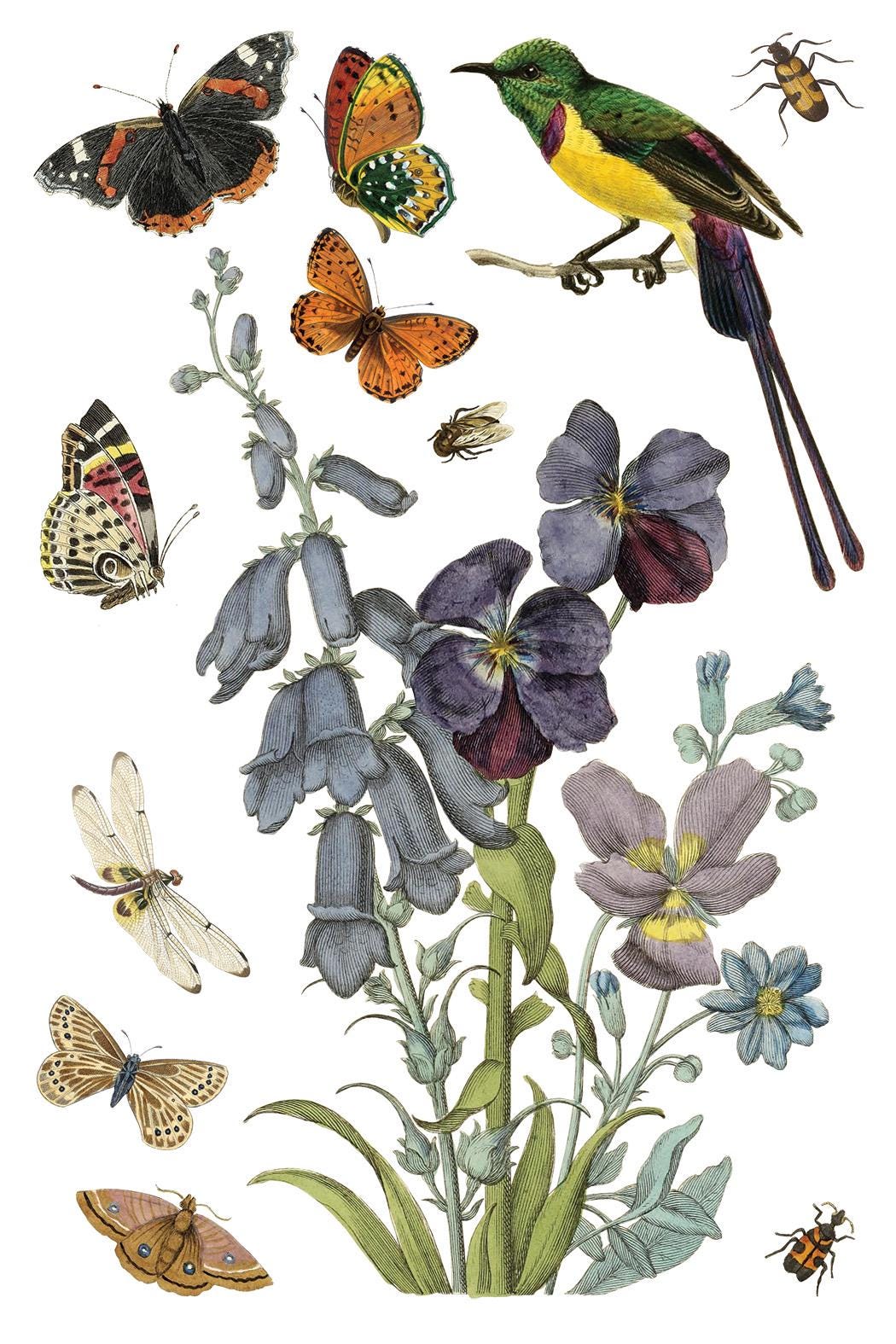 Wilde Bloemen IOD Transfer Pad with (8) 8 x 12 Sheets by Iron Orchid Designs Rub-On Furniture Transfer Decal