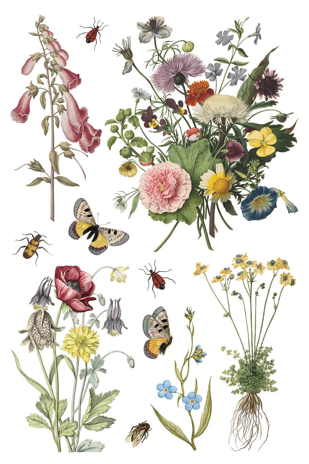 Wilde Bloemen IOD Transfer Pad with (8) 8 x 12 Sheets by Iron Orchid Designs Rub-On Furniture Transfer Decal