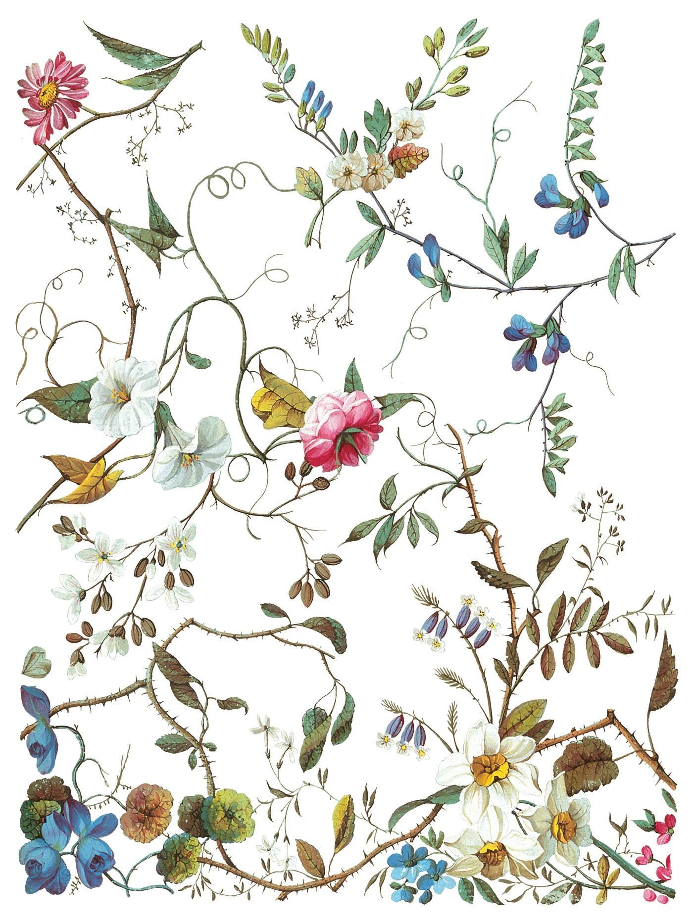 Lost Garden IOD Transfer Pad with (8) 12 X 16 Sheets by Iron Orchid Designs Rub-On Furniture Transfer Decal - New Release