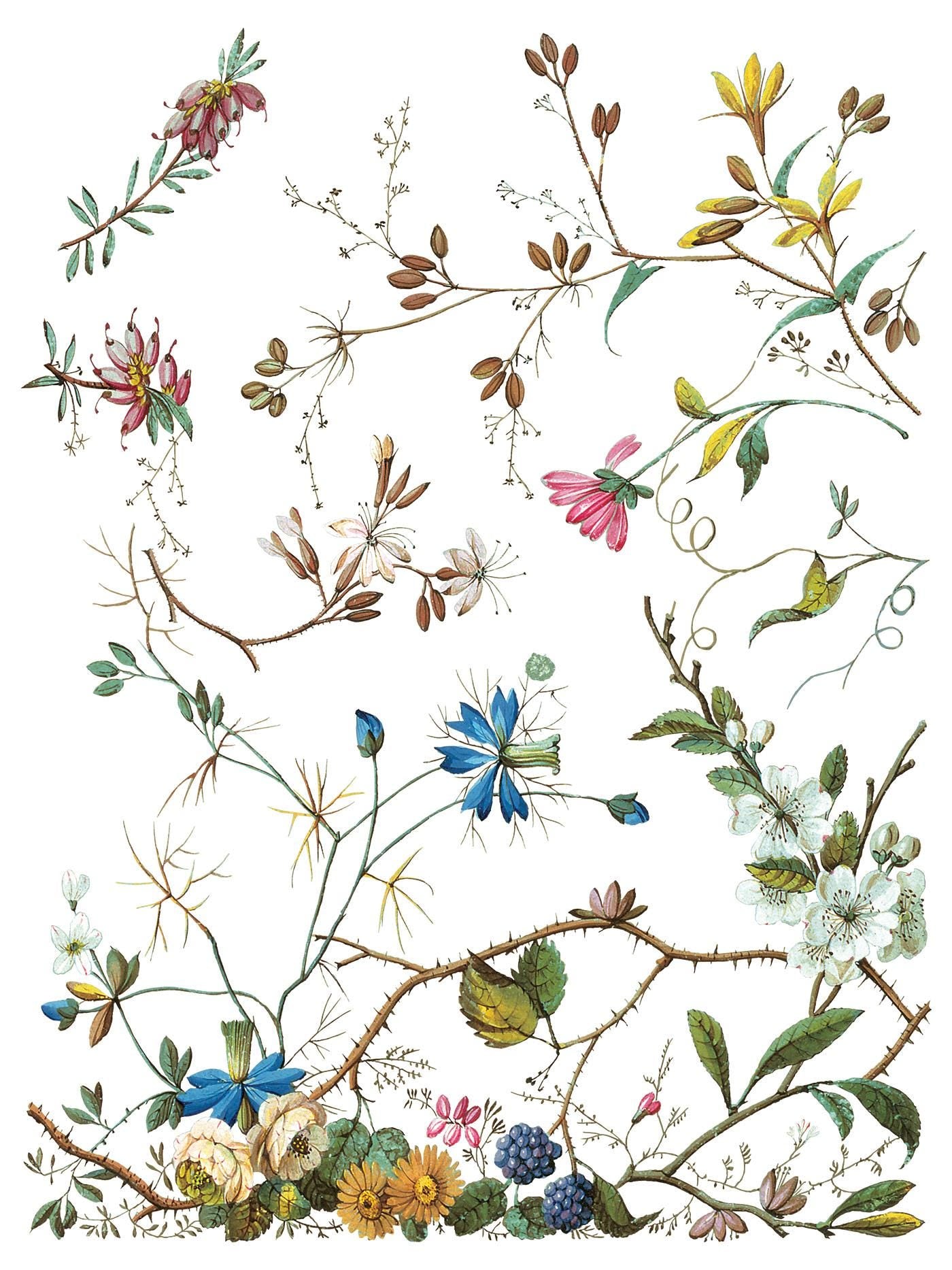 Lost Garden IOD Transfer Pad with (8) 12 X 16 Sheets by Iron Orchid Designs Rub-On Furniture Transfer Decal - New Release