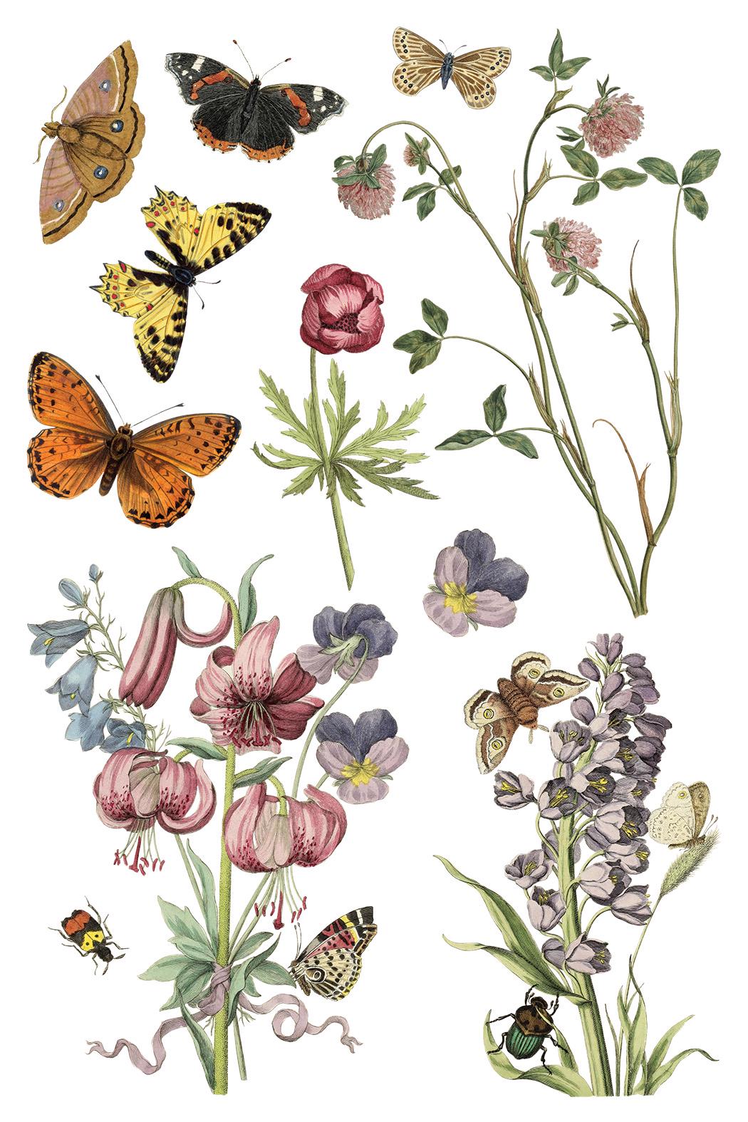 Wilde Bloemen IOD Transfer Pad with (8) 8 x 12 Sheets by Iron Orchid Designs Rub-On Furniture Transfer Decal