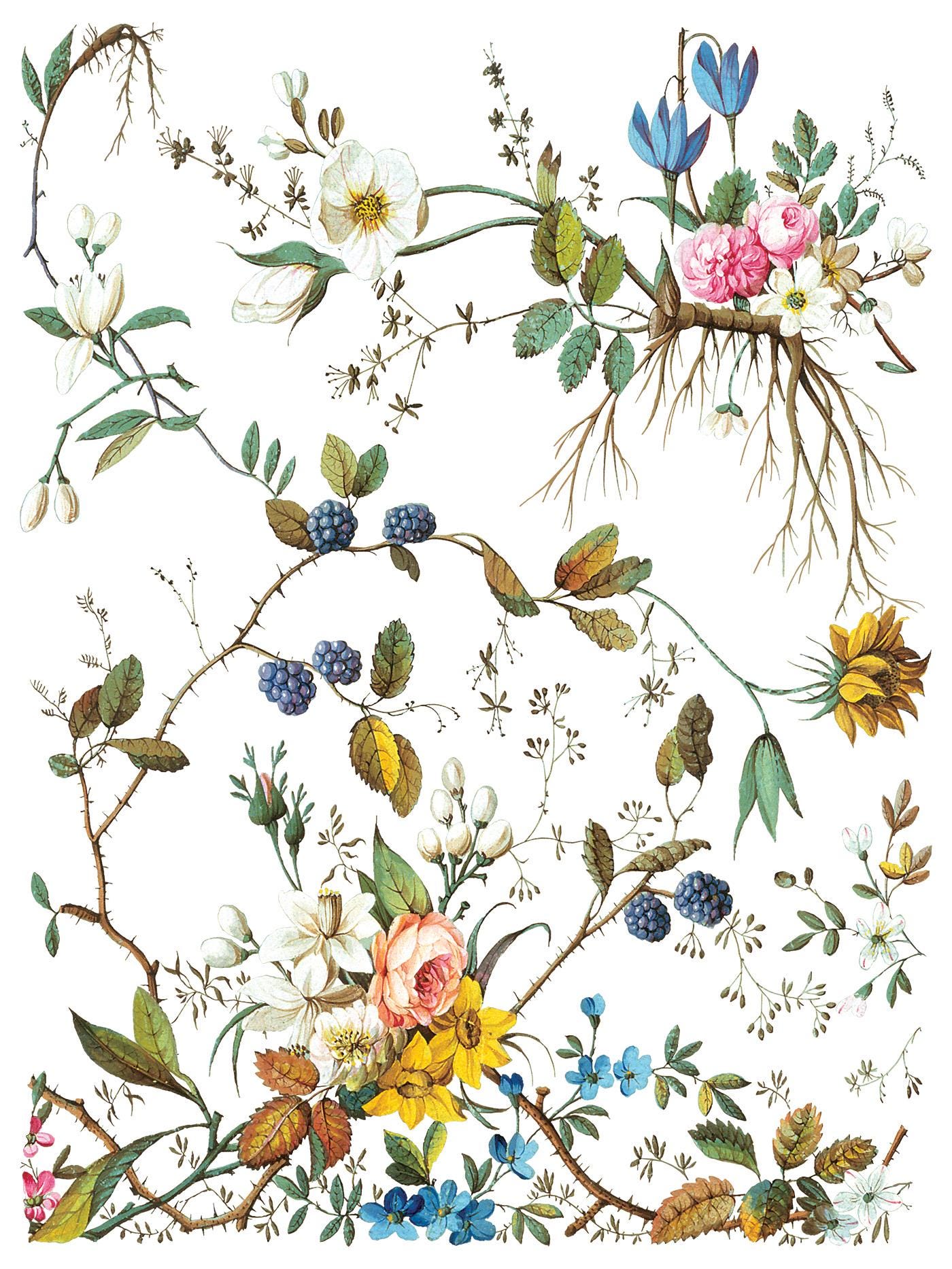 Lost Garden IOD Transfer Pad with (8) 12 X 16 Sheets by Iron Orchid Designs Rub-On Furniture Transfer Decal - New Release