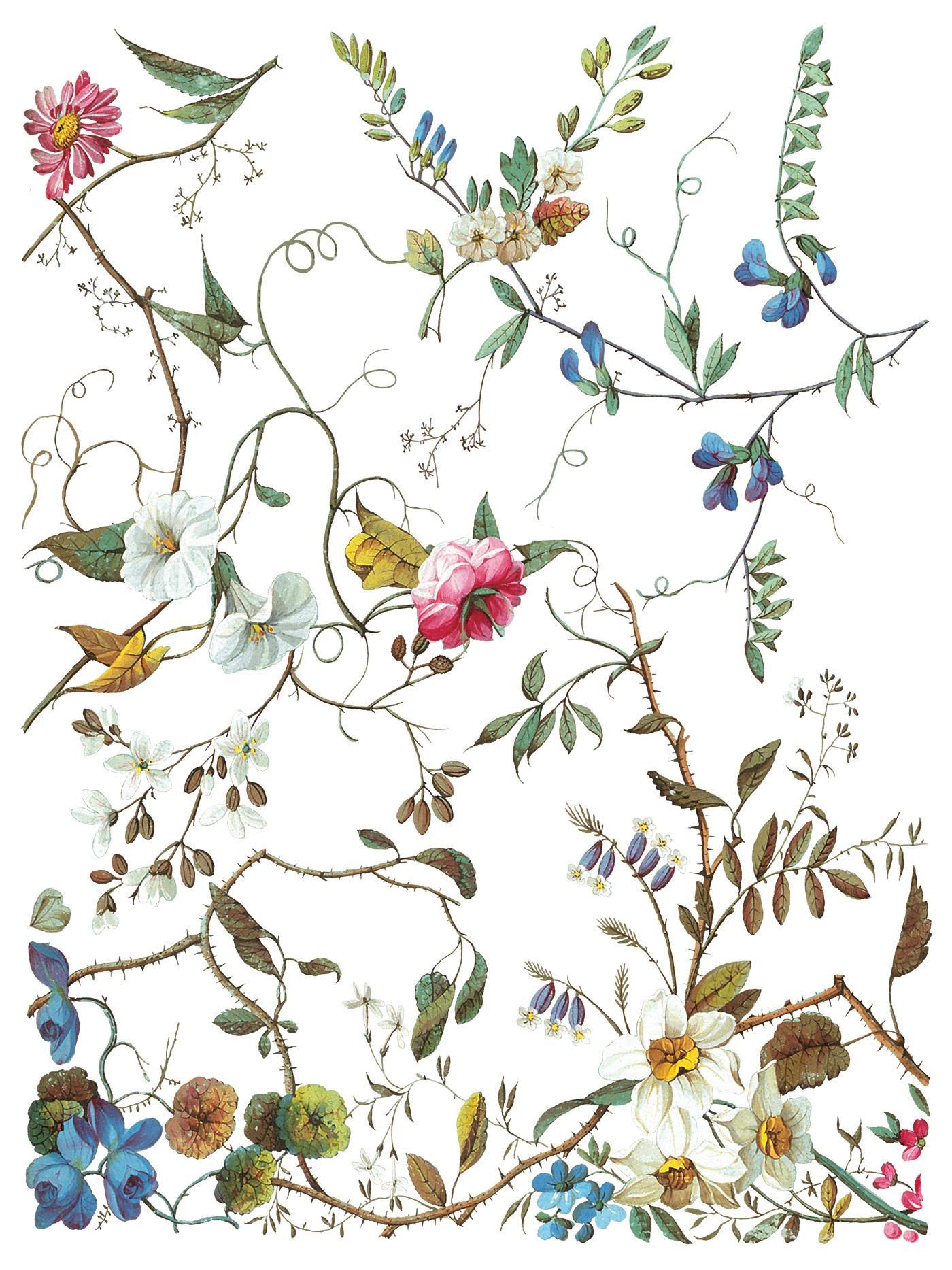 Lost Garden IOD Transfer Pad with (8) 12 X 16 Sheets by Iron Orchid Designs Rub-On Furniture Transfer Decal - New Release