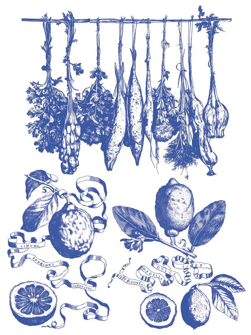 Portofino IOD Paint Inlay by Iron Orchid Design (8) 12 X 16 Sheets - Limited Release