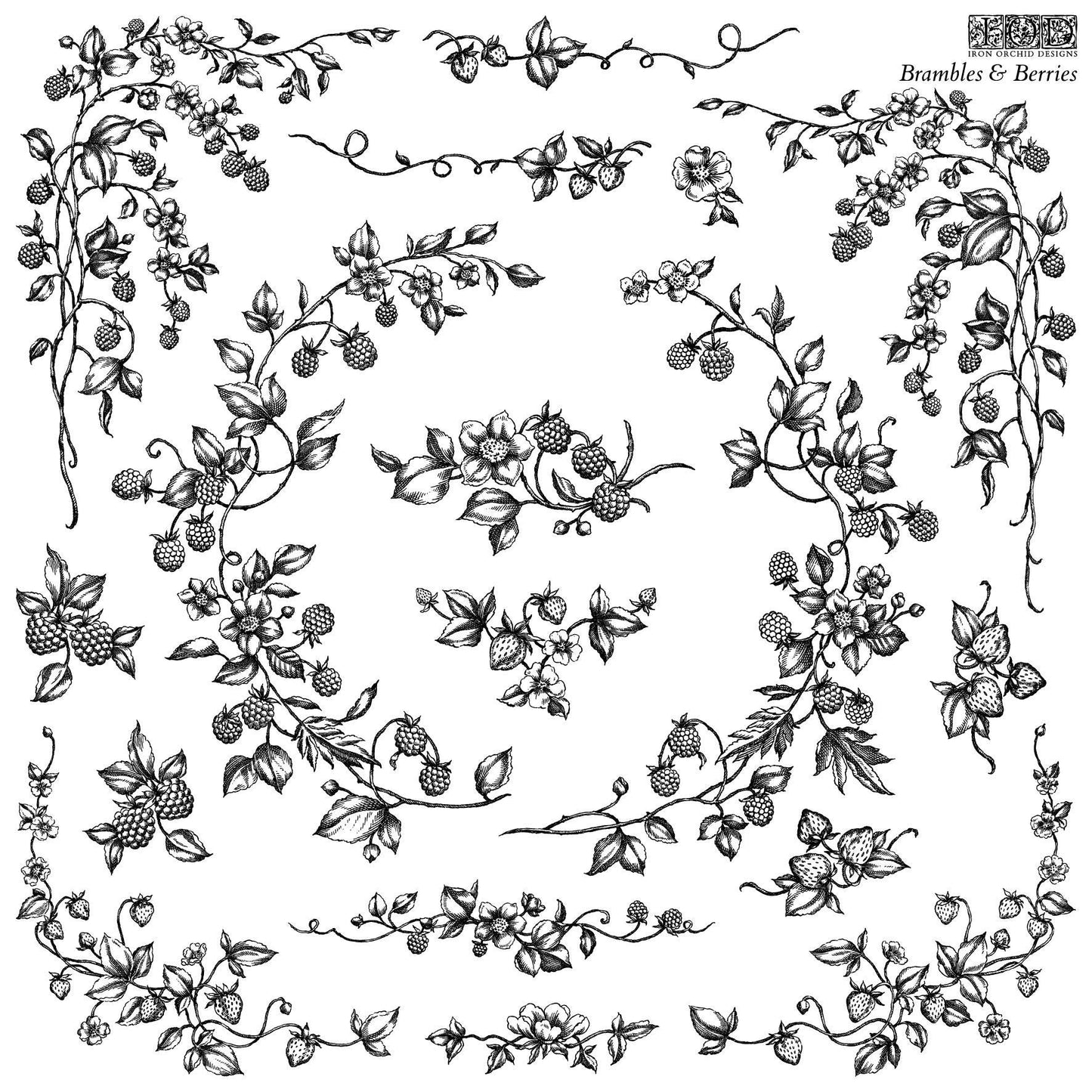 Brambles & Berries 12 X 12  IOD stamp  - by Iron Orchid Designs