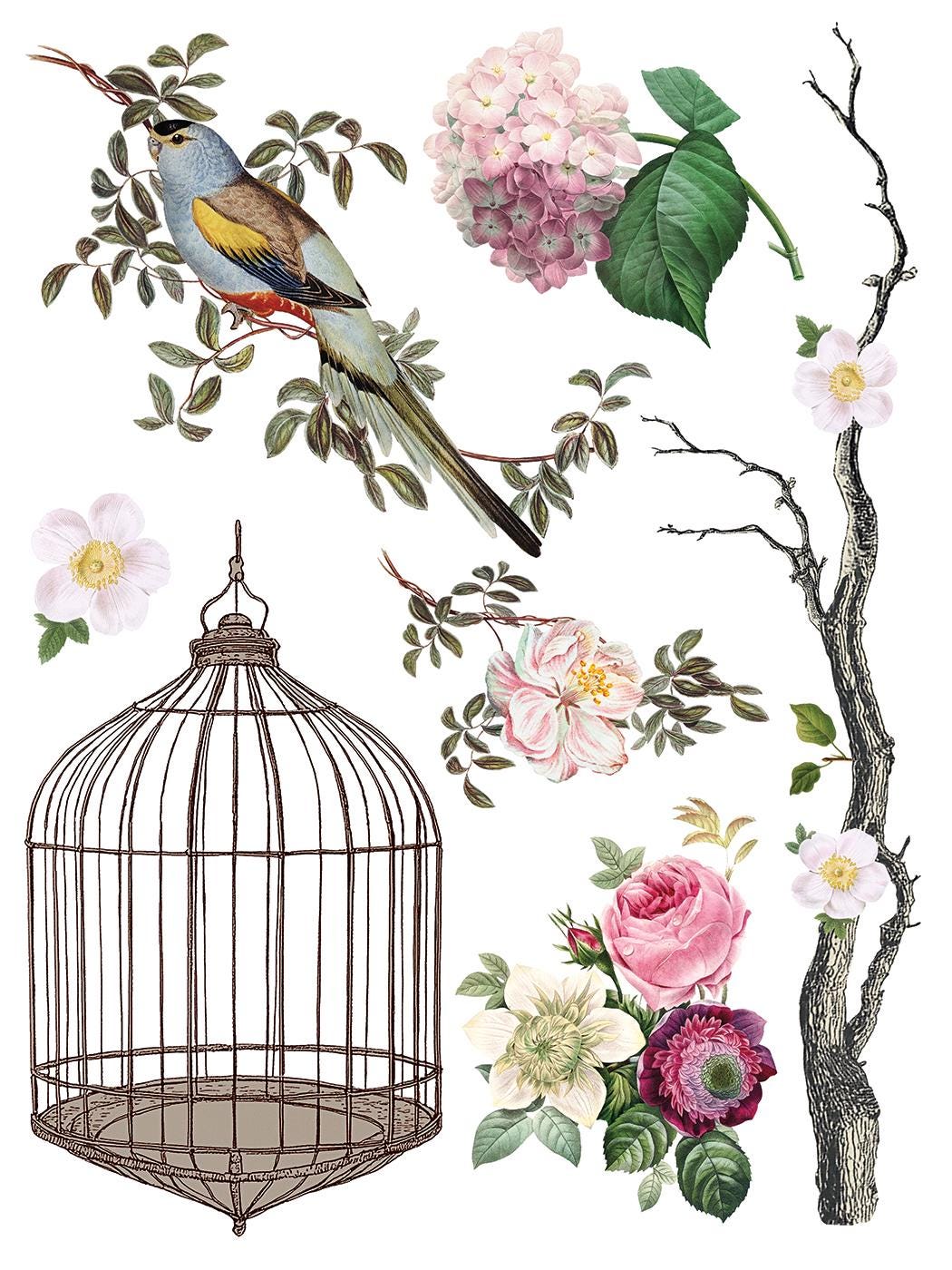 Menagerie IOD Transfer Pad with (8) 12 X 16 Sheets by Iron Orchid Designs Rub-On Furniture Transfer Decal
