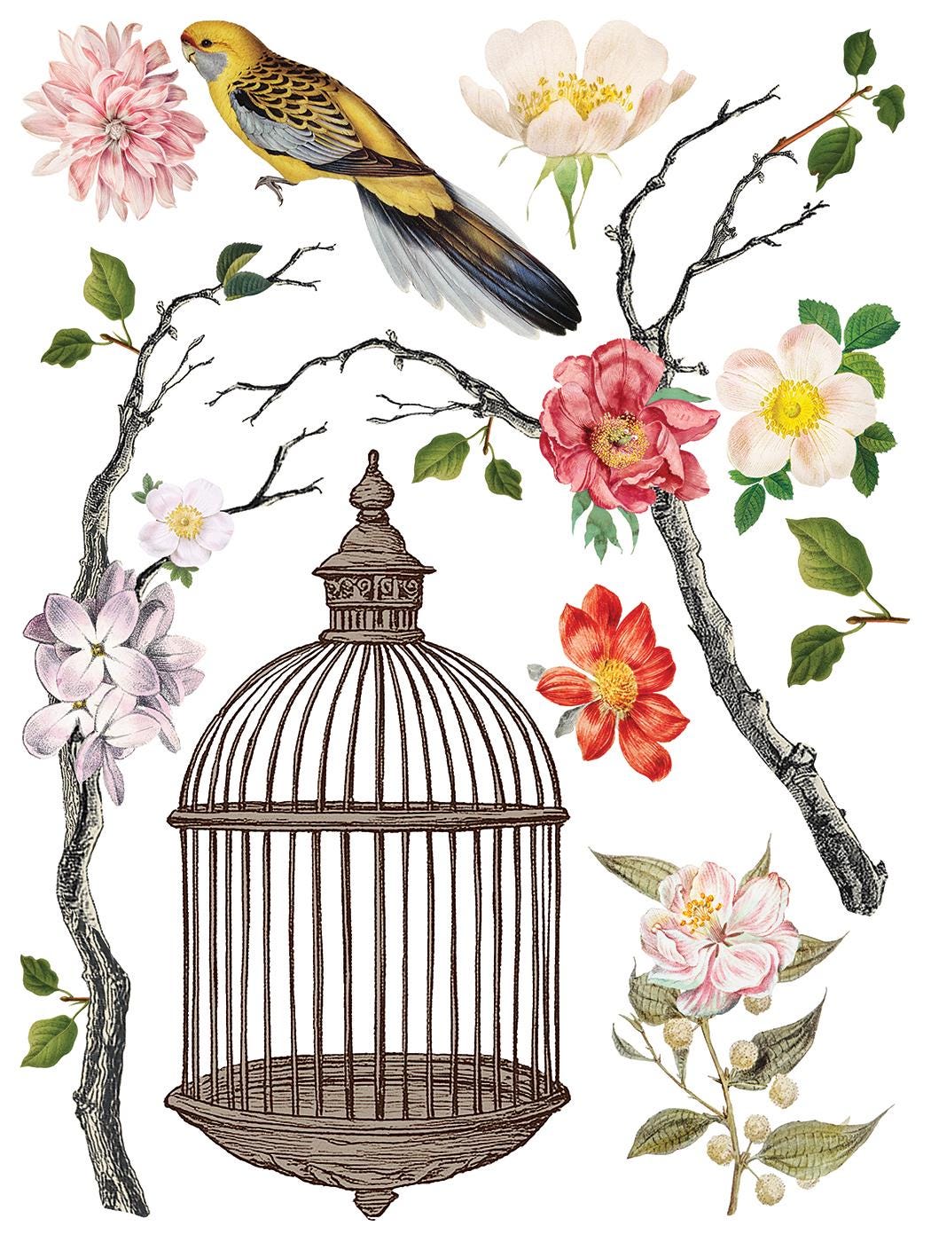 Menagerie IOD Transfer Pad with (8) 12 X 16 Sheets by Iron Orchid Designs Rub-On Furniture Transfer Decal