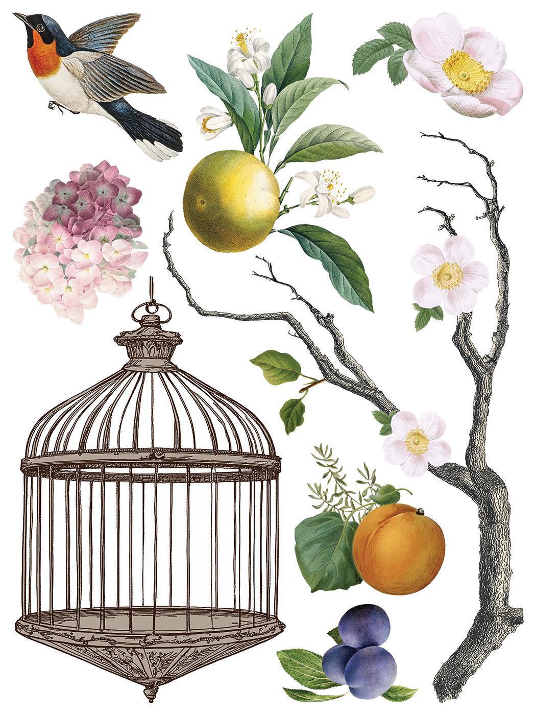 Menagerie IOD Transfer Pad with (8) 12 X 16 Sheets by Iron Orchid Designs Rub-On Furniture Transfer Decal