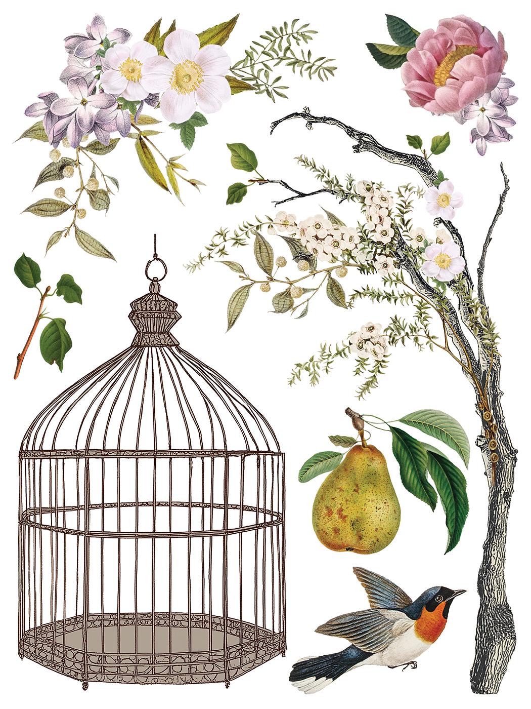 Menagerie IOD Transfer Pad with (8) 12 X 16 Sheets by Iron Orchid Designs Rub-On Furniture Transfer Decal