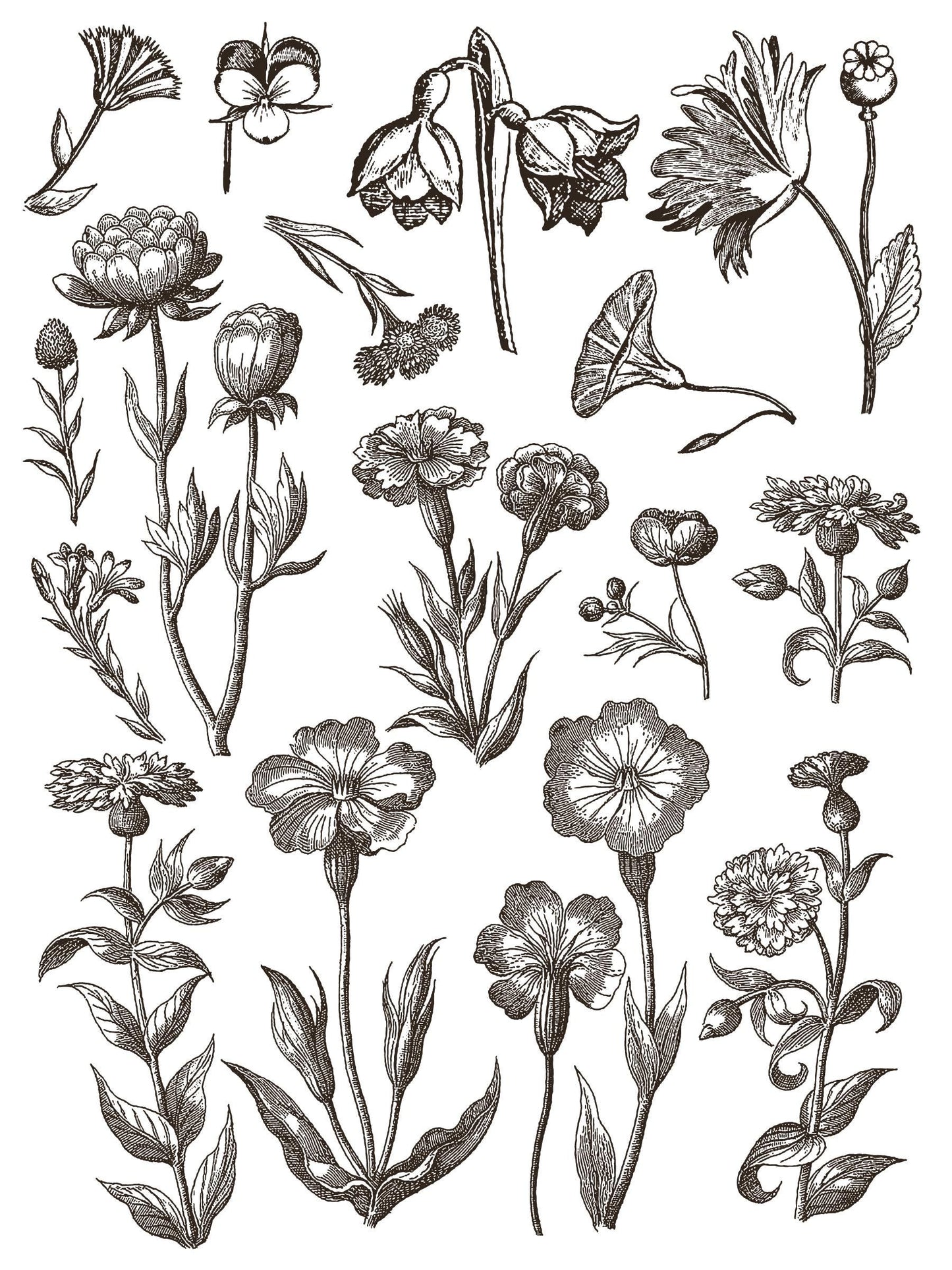 Floriography IOD Paint Inlay by Iron Orchid Design (8) 12 X 16 Sheets - Limited Release