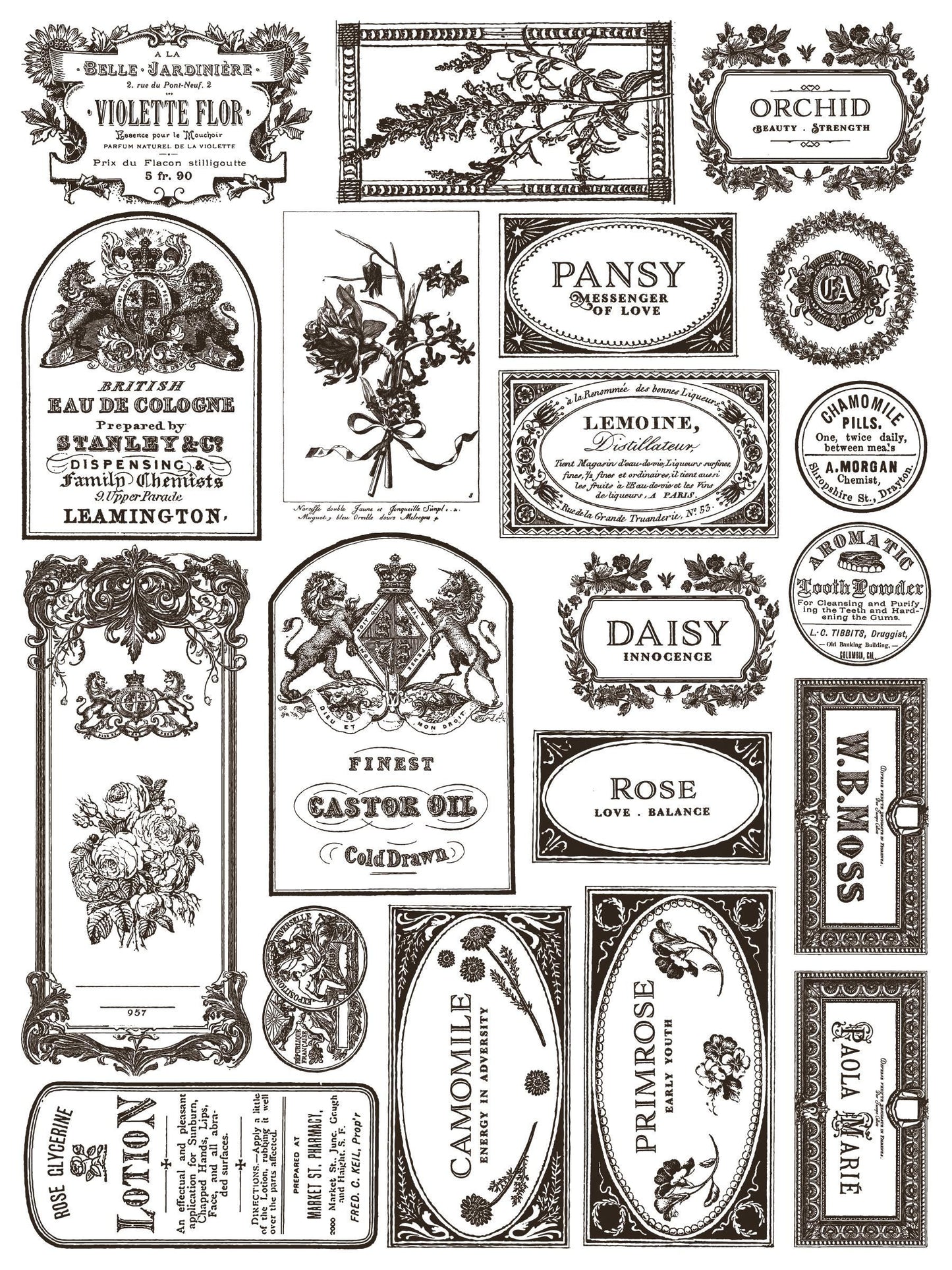 Floriography IOD Paint Inlay by Iron Orchid Design (8) 12 X 16 Sheets - Limited Release