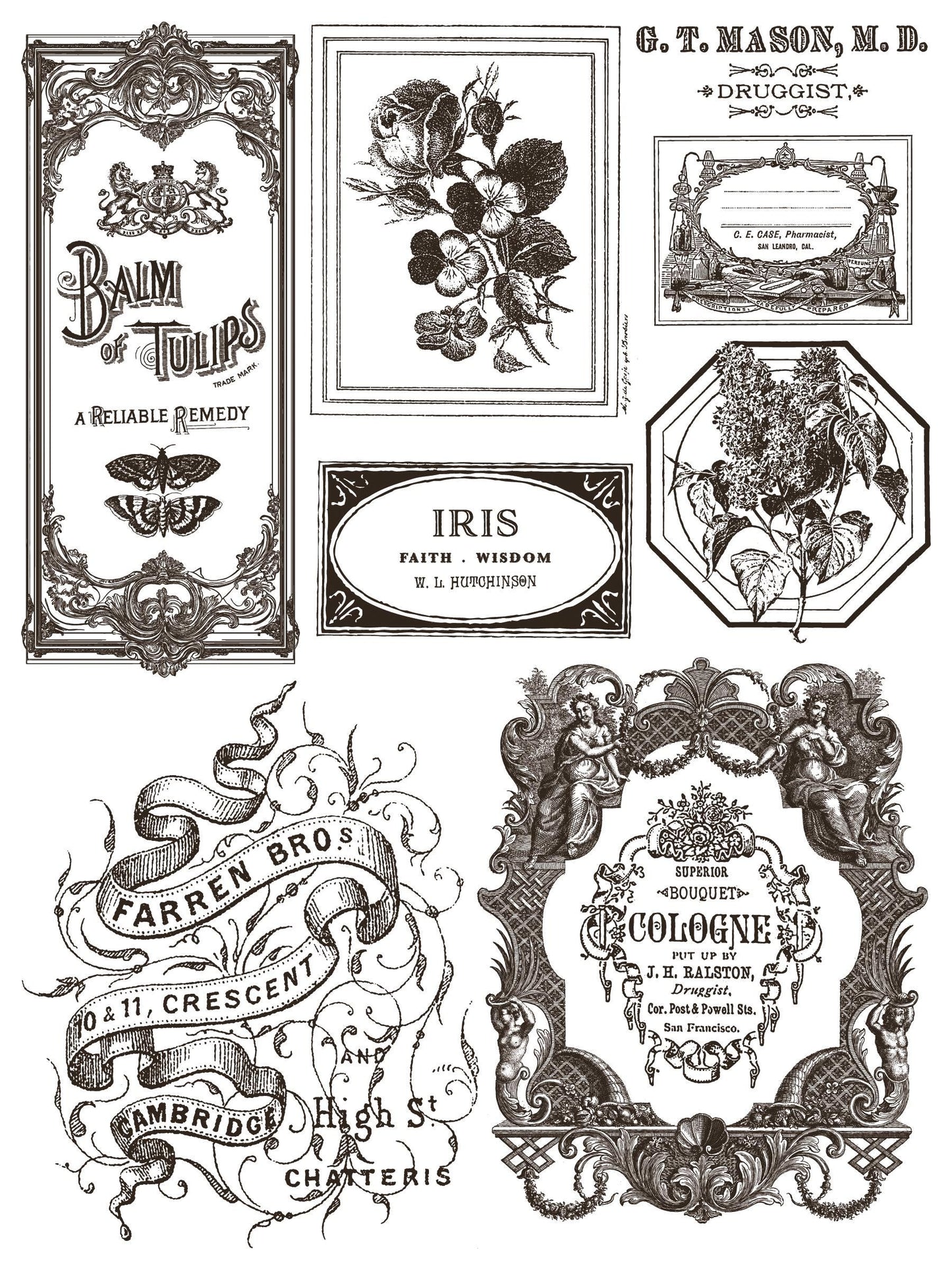 Floriography IOD Paint Inlay by Iron Orchid Design (8) 12 X 16 Sheets - Limited Release