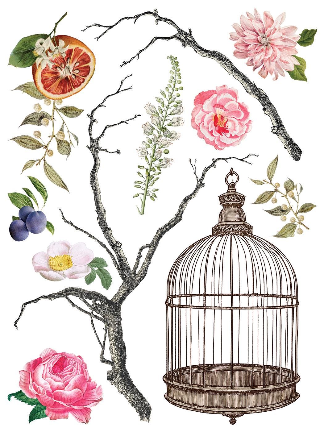 Menagerie IOD Transfer Pad with (8) 12 X 16 Sheets by Iron Orchid Designs Rub-On Furniture Transfer Decal