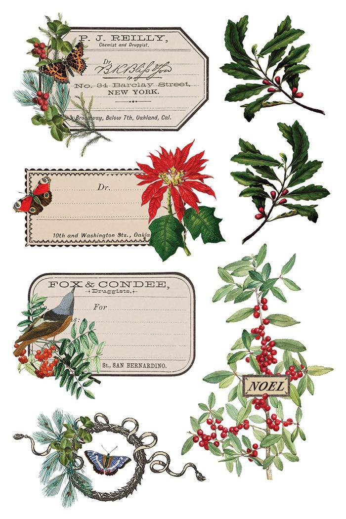 Winter Botanist IOD Transfer Pad with (8) 8 x 12 Sheets by Iron Orchid Designs Rub-On Furniture Transfer Decal 2025 Limited Holiday Release