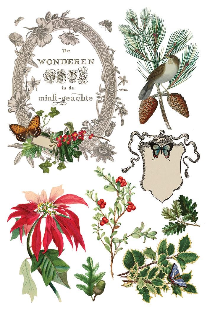 Winter Botanist IOD Transfer Pad with (8) 8 x 12 Sheets by Iron Orchid Designs Rub-On Furniture Transfer Decal 2025 Limited Holiday Release