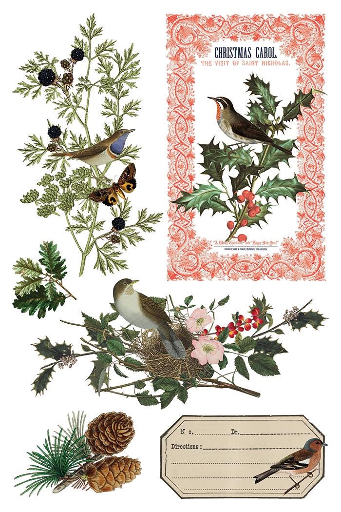 Winter Botanist IOD Transfer Pad with (8) 8 x 12 Sheets by Iron Orchid Designs Rub-On Furniture Transfer Decal 2025 Limited Holiday Release