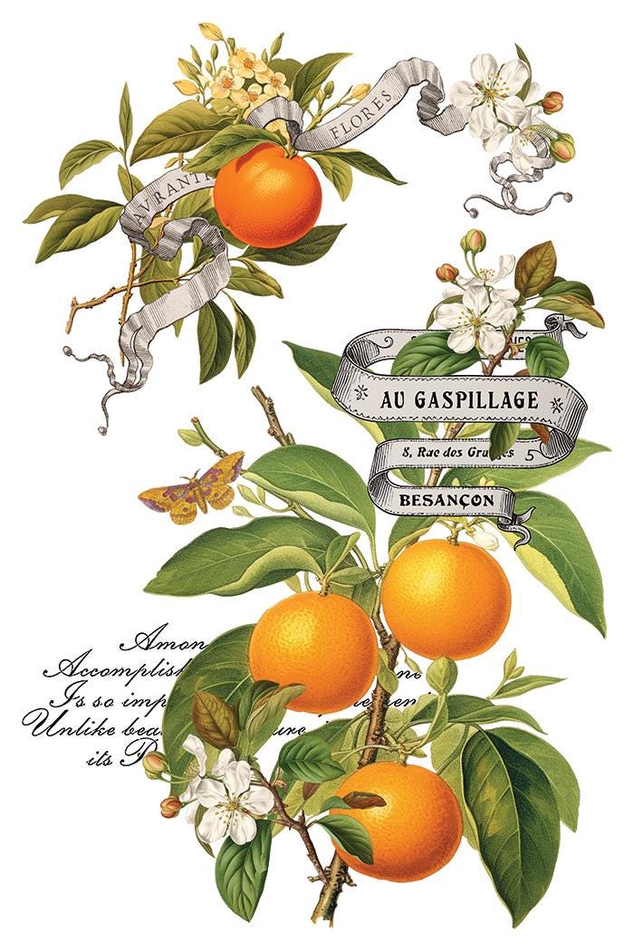 Clementine IOD Transfer Pad with (8) 8 x 12 Sheets by Iron Orchid Designs Rub-On Furniture Transfer Decal -2025 Limited Holiday Release