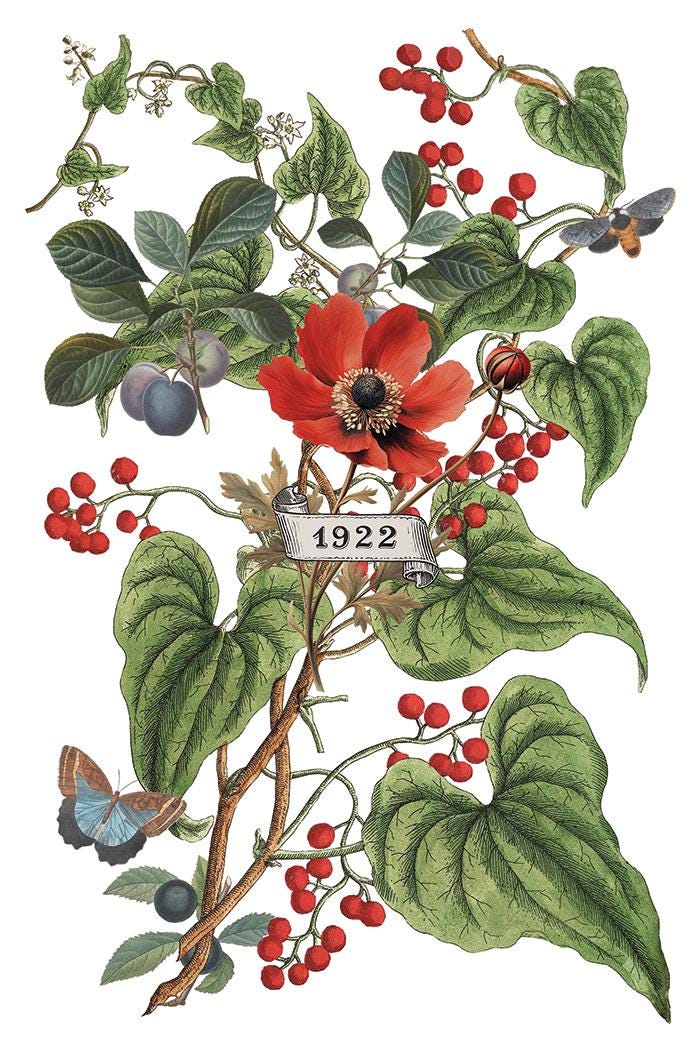 Clementine IOD Transfer Pad with (8) 8 x 12 Sheets by Iron Orchid Designs Rub-On Furniture Transfer Decal -2025 Limited Holiday Release