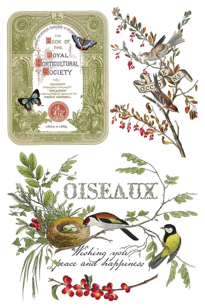 Winter Botanist IOD Transfer Pad with (8) 8 x 12 Sheets by Iron Orchid Designs Rub-On Furniture Transfer Decal 2025 Limited Holiday Release