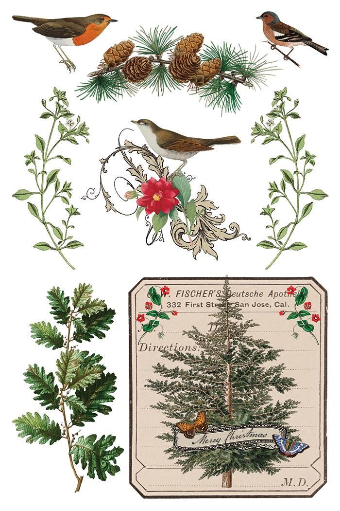 Winter Botanist IOD Transfer Pad with (8) 8 x 12 Sheets by Iron Orchid Designs Rub-On Furniture Transfer Decal 2025 Limited Holiday Release