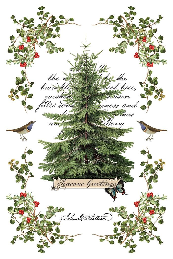 Winter Botanist IOD Transfer Pad with (8) 8 x 12 Sheets by Iron Orchid Designs Rub-On Furniture Transfer Decal 2025 Limited Holiday Release