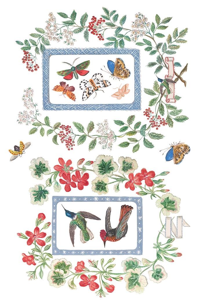Emily Clare IOD Transfer Pad with (8) 8 x 12 Sheets by Iron Orchid Designs Rub-On Furniture Transfer Decal - New Release