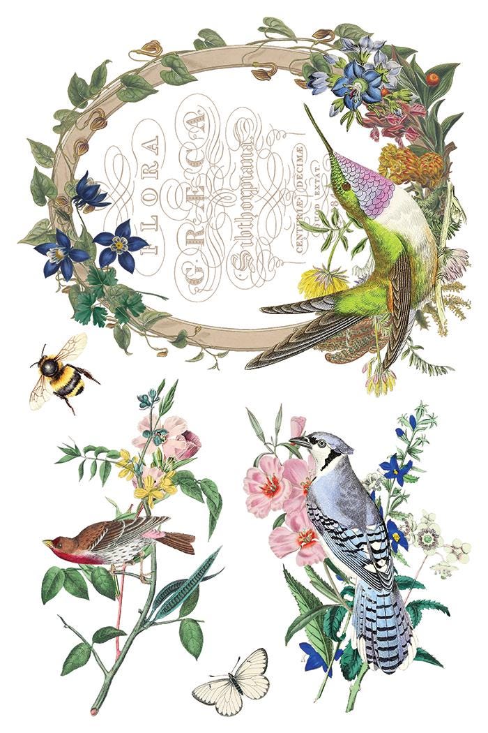 Flora Greca IOD Transfer Pad with (8) 8 x 12 Sheets by Iron Orchid Designs Rub-On Furniture Transfer Decal - New Release
