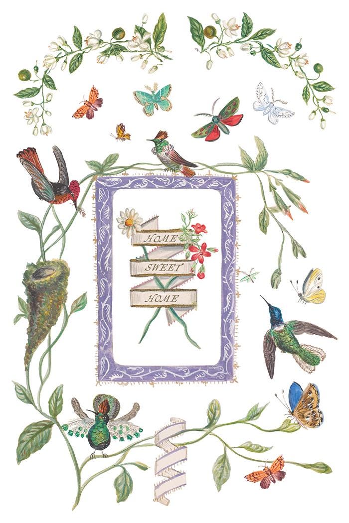 Emily Clare IOD Transfer Pad with (8) 8 x 12 Sheets by Iron Orchid Designs Rub-On Furniture Transfer Decal - New Release