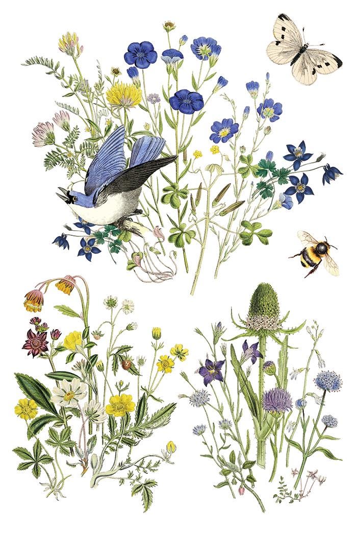 Flora Greca IOD Transfer Pad with (8) 8 x 12 Sheets by Iron Orchid Designs Rub-On Furniture Transfer Decal - New Release