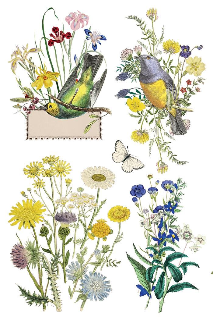 Flora Greca IOD Transfer Pad with (8) 8 x 12 Sheets by Iron Orchid Designs Rub-On Furniture Transfer Decal - New Release