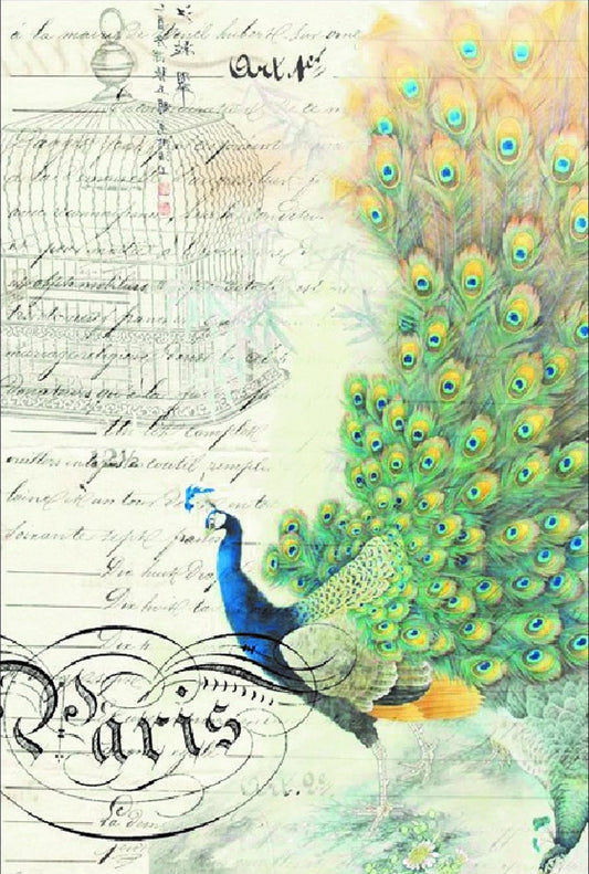 Roycycled Decoupage Paper | Peacock Ephemera Right 20" x 30"