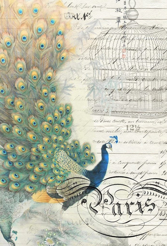 Roycycled Decoupage Paper | Peacock Ephemera Left 20" x 30"