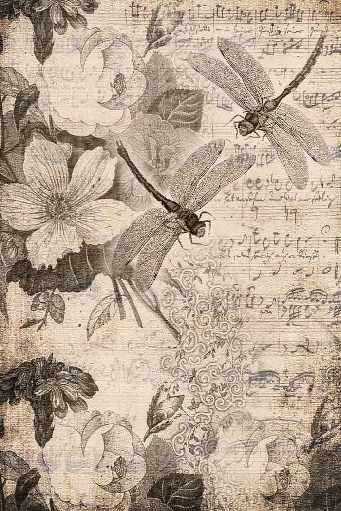 Roycycled Decoupage Paper | Musical Dragon Flies 20" x 30"