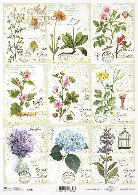 Herbarium - miniatures ITD Collection decoupage paper | Size Paper A4 - 210x297 mm | 8.27x11.7 in | paper weight 30-35 gsm