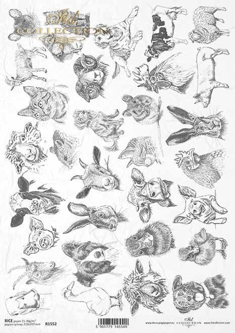 Animals Black and White ITD Collection decoupage paper | Size Paper A4 - 210x297 mm | 8.27x11.7 in | paper weight 30-35 gsm R1552
