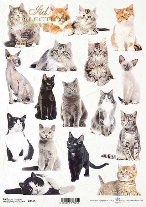 Cats ITD Collection Decoupage Paper | Size A4 - 210x297 mm | 8.27x11.7 in | paper weight 30-35 gsm