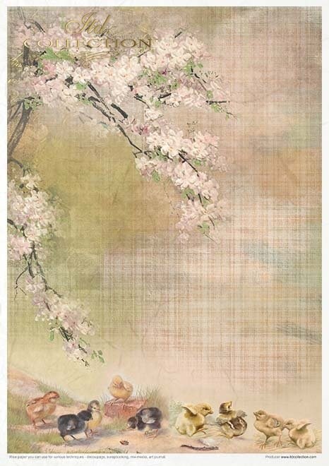 Spring Impressions ITD Collection decoupage paper |  11 sheets of rice paper  size A4 (210x297 mm / 8.27x11.7 inch) paper weight 30-35 gsm)