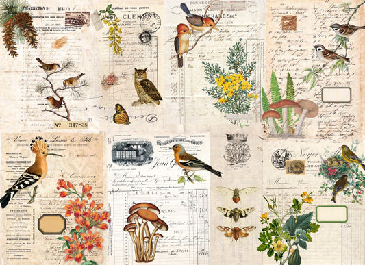 Roycycled Decoupage Paper | Fall Botanical Project Blocks  21" x 29"