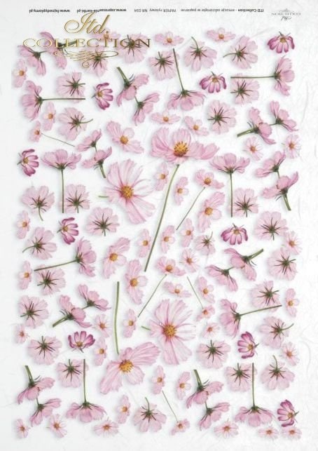 flowers cosmos ITD Collection decoupage paper | Size Paper A4 - 210x297 mm | 8.27x11.7 in | paper weight 30-35 gsm R0063